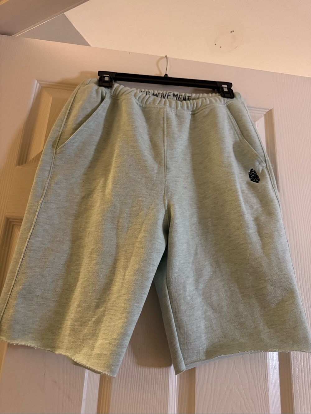 Free People “For The Win” NWOT (pistachio) Slouchy, Relaxed Fit  Shorts - Picture 9 of 9